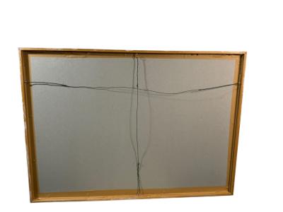 Robert Mapplethorpe EROTIC SURREALIST BLACK WHITE FLOWER PHOTOGRAPHS MANNER OF ROBERT MAPPLETHORPE