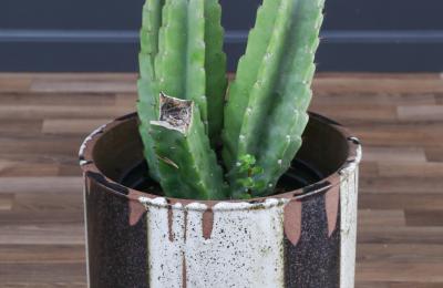 Robert Maxwell David Cressey Robert Maxwell Flame Glaze Planter