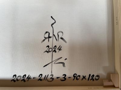 Robert Niesse Abstract informal 2024 2113 3