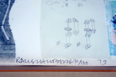 Robert Rauschenberg Two Reasons Birds Sing by Robert Rauschenberg