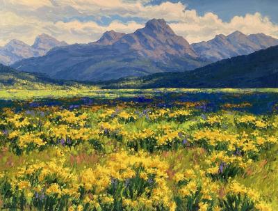 Robert Wood Front Range Wildflowers