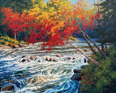 Robert Wood River Rapids