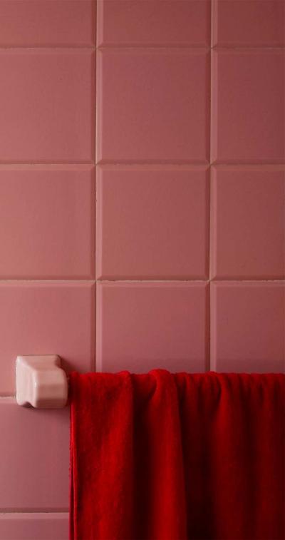 Roberta Borges Photography Red and Pink 2008 by Brazilian Photographer Roberta Borges