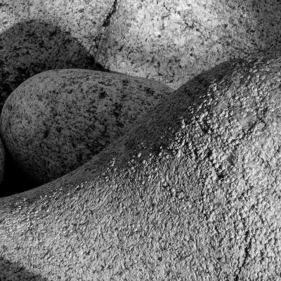 Roberta Borges Photography Rolling Stones 2012 by Brazilian Photographer Roberta Borges