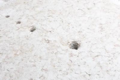 Robust Farm Stone Coffee Tables Italy 19th Century
