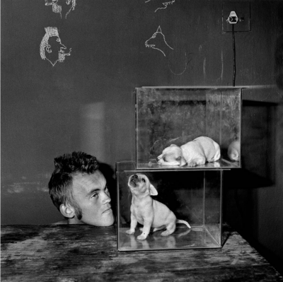 Roger Ballen Puppies in Fishtank 2000