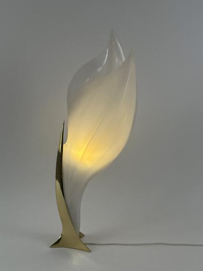 Roger Rougier Modernist Acrylic Brass Table Lamp or Floor Light by Maison Rougier 1970s