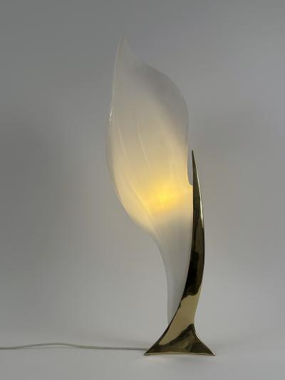 Roger Rougier Modernist Acrylic Brass Table Lamp or Floor Light by Maison Rougier 1970s