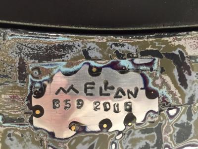 Roland Mellan Narcisse