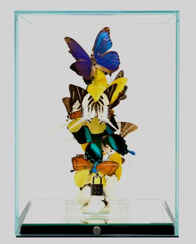 Roman Feral Love Lock Colorful III