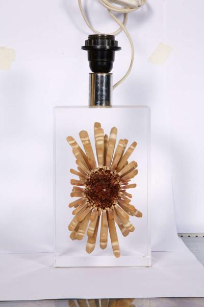 Romeo Paris Nice lucite table lamp with inclusion of sea urchin