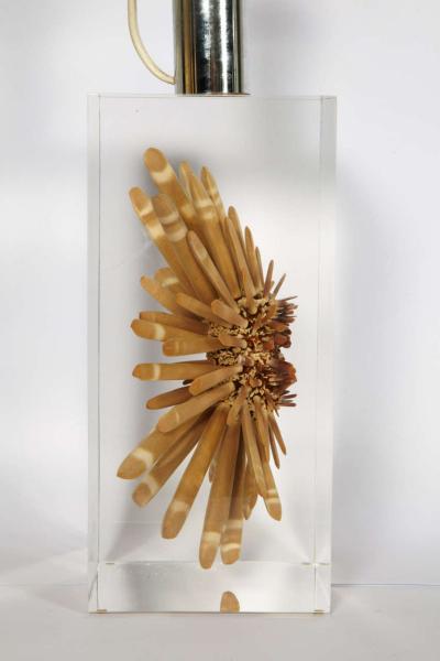 Romeo Paris Nice lucite table lamp with inclusion of sea urchin