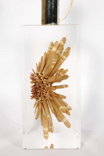 Romeo Paris Nice lucite table lamp with inclusion of sea urchin