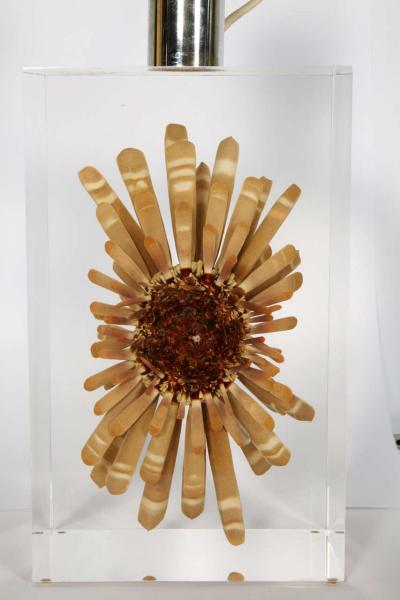 Romeo Paris Nice lucite table lamp with inclusion of sea urchin
