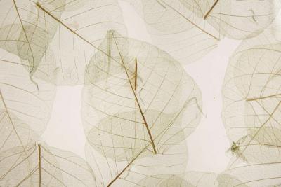 Romeo Paris Pair of lamps by Romeo Paris