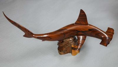 Ron Redden Hammerhead Shark by Ron Redden