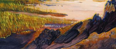 Ron Walotsky Harp Player