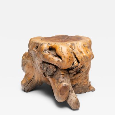 Rootwood Side Table