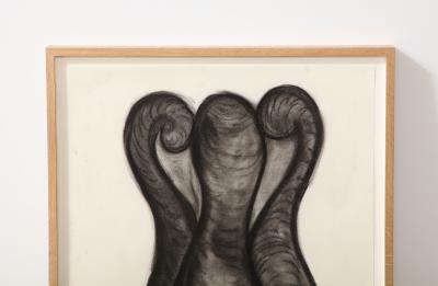 Rosanne Sniderman Charcoal Drawing V2 by Rosanne Sniderman