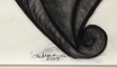 Rosanne Sniderman Charcoal Drawing V5 by Rosanne Sniderman