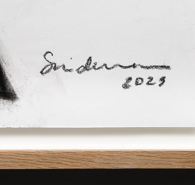 Rosanne Sniderman Charcoal Drawing V6 by Rosanne Sniderman