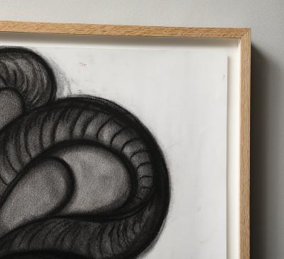 Rosanne Sniderman Charcoal Drawing V8 by Rosanne Sniderman