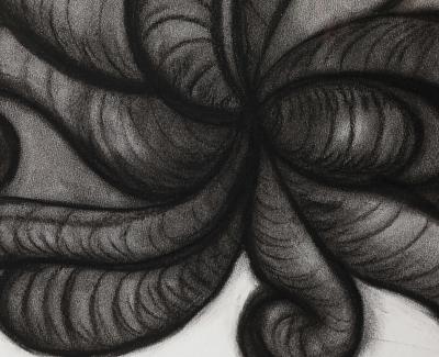 Rosanne Sniderman Charcoal Drawing V8 by Rosanne Sniderman