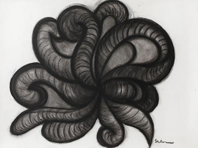 Rosanne Sniderman Charcoal Drawing V8 by Rosanne Sniderman