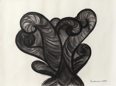 Rosanne Sniderman Charcoal Drawing V9 by Rosanne Sniderman