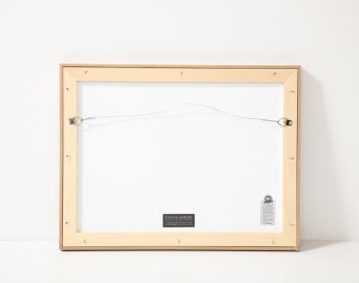 Rosanne Sniderman Charcoal Drawing by Rosanne Sniderman