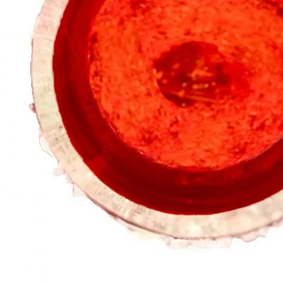 Ruby Red Murano Cotisso Glass Vase