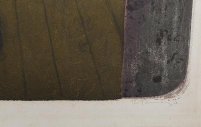 Rufino Tamayo Femme au Collant Rose Mujer Con Mallas Rosas 