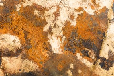 Rusted Values No 12 CH