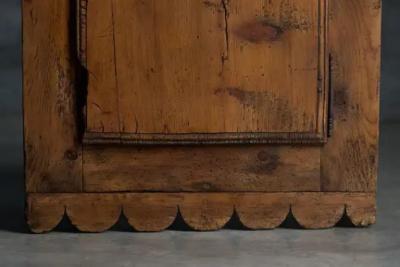 Rustic Alpine Cupboard France Early 19th Century