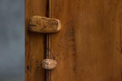 Rustic Alpine Cupboard France Early 19th Century