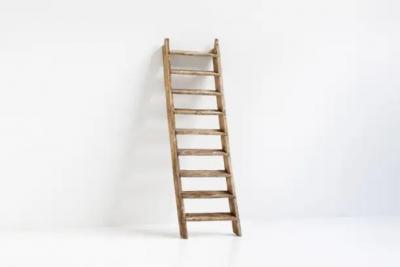 Rustic Art Populaire Ladder France 20th Century