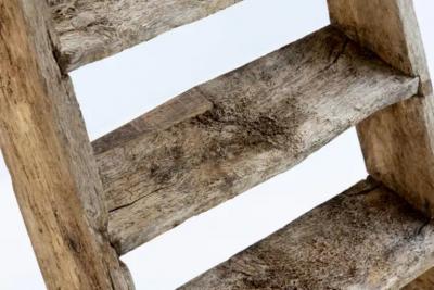 Rustic Art Populaire Ladder France 20th Century