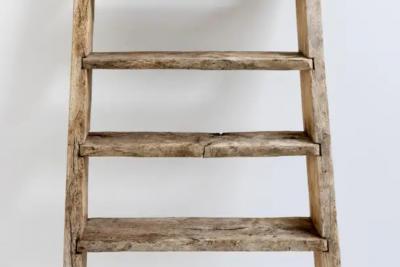 Rustic Art Populaire Ladder France 20th Century