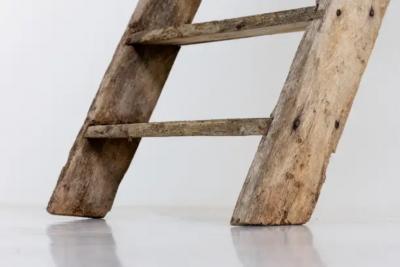 Rustic Art Populaire Ladder France 20th Century
