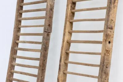 Rustic Climbing Frame France 20th Century