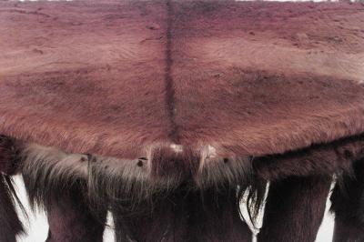 Rustic Continental 19th Cent Horn Design Shaped Console Table