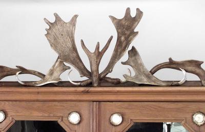 Rustic Continental German Oak and Horn Trimmed 4 Door Bookcase Cabinet