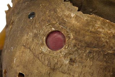 Rustic Continental Horned Taxidermy Helmet
