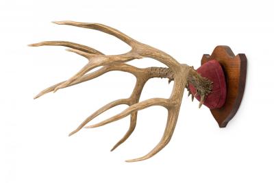 Rustic Decorative Deer Antler and Red Suede Wall Plaque