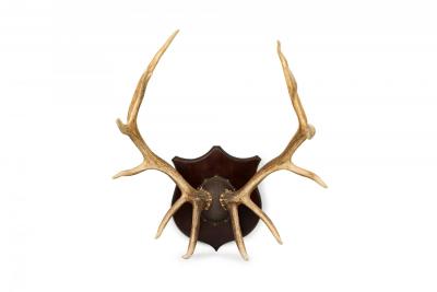 Rustic Decorative Elk Antler and Wood Wall Plaque