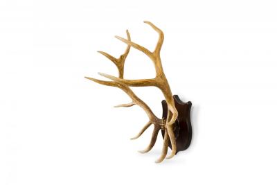 Rustic Decorative Elk Antler and Wood Wall Plaque