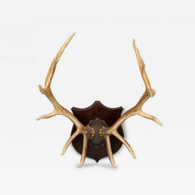 Rustic Decorative Elk Antler and Wood Wall Plaque
