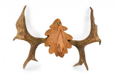Rustic Decorative Moose Antler Oak Leaf Wall Plaque