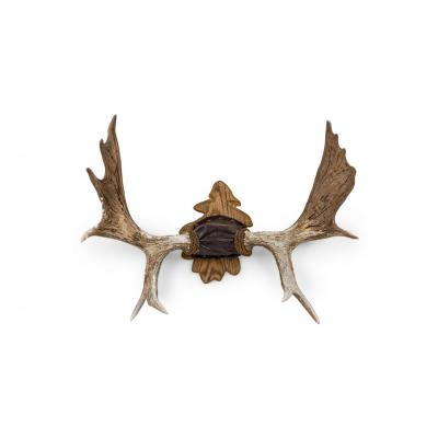 Rustic Decorative Moose Antler Oak Leaf Wall Plaque