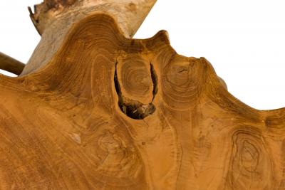 Rustic Live Edge Tree Root ConsoleTable